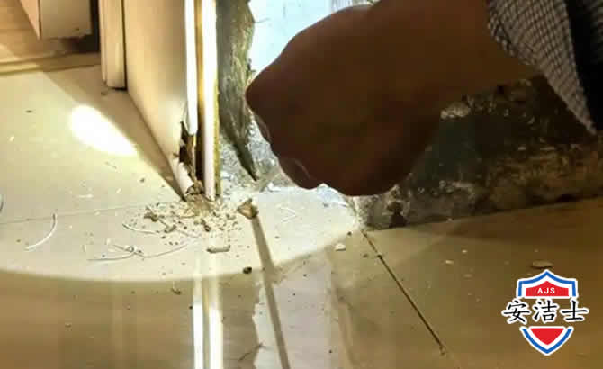 泰顺房屋建筑防治白蚁