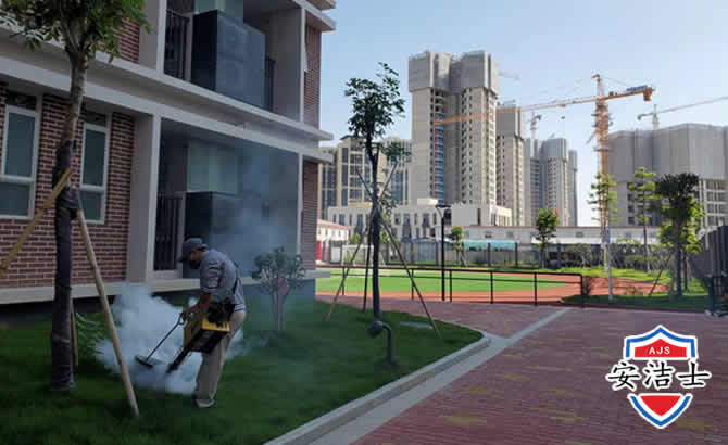 泰顺工厂工地除白蚁