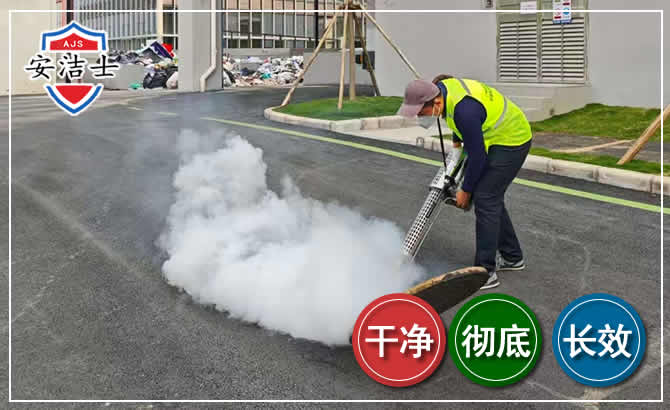 泰顺消杀防疫现场