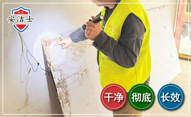 泰顺除白蚁现场