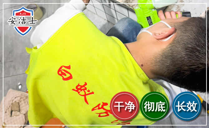 泰顺白蚁根治现场